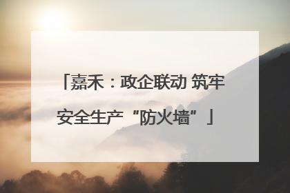 嘉禾：政企联动 筑牢安全生产“防火墙”