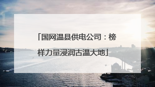 国网温县供电公司：榜样力量浸润古温大地