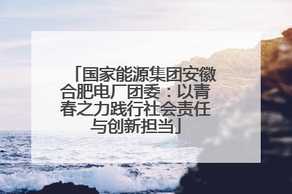 国家能源集团安徽合肥电厂团委：以青春之力践行社会责任与创新担当