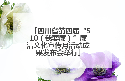 四川省第四届“510（我要廉）”廉洁文化宣传月活动成果发布会举行