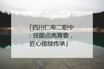 四川仁寿二职中：技能点亮青春，匠心接续传承