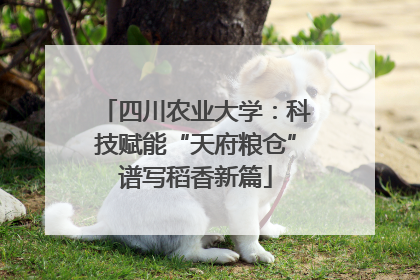 四川农业大学：科技赋能“天府粮仓”谱写稻香新篇