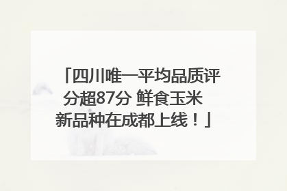四川唯一平均品质评分超87分 鲜食玉米新品种在成都上线！
