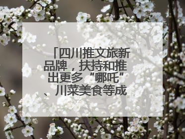 四川推文旅新品牌，扶持和推出更多“哪吒”、川菜美食等成“吸睛点”