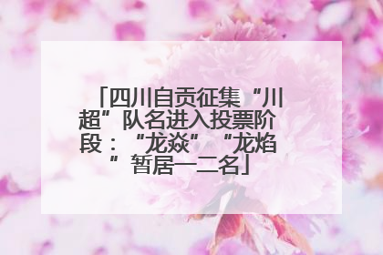 四川自贡征集“川超”队名进入投票阶段：“龙焱”“龙焰”暂居一二名