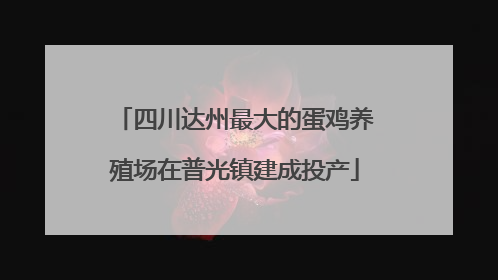 四川达州最大的蛋鸡养殖场在普光镇建成投产