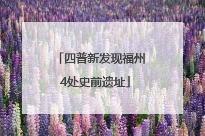 四普新发现福州4处史前遗址