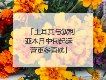 土耳其与叙利亚本月中旬起运营更多直航