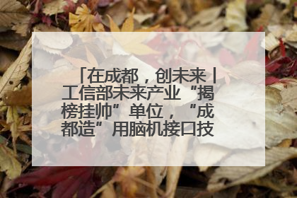 在成都，创未来丨工信部未来产业“揭榜挂帅”单位，“成都造”用脑机接口技术造福孤独症儿童