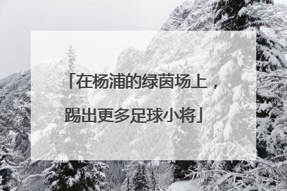 在杨浦的绿茵场上，踢出更多足球小将