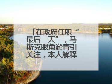 在政府任职“最后一天”，马斯克眼角淤青引关注，本人解释：儿子干的