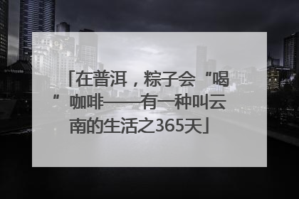 在普洱，粽子会“喝”咖啡——有一种叫云南的生活之365天