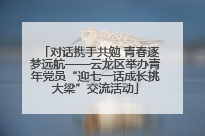 对话携手共勉 青春逐梦远航——云龙区举办青年党员“迎七一话成长挑大梁”交流活动