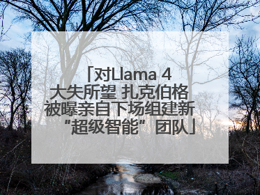 对Llama 4大失所望 扎克伯格被曝亲自下场组建新“超级智能”团队