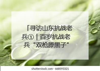 寻访山东抗战老兵①｜百岁抗战老兵“双枪滕黑子”：被粟裕称赞的“孤胆英雄”