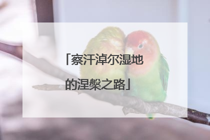 察汗淖尔湿地的涅槃之路