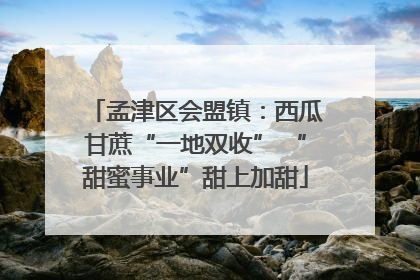 孟津区会盟镇：西瓜甘蔗“一地双收” “甜蜜事业”甜上加甜