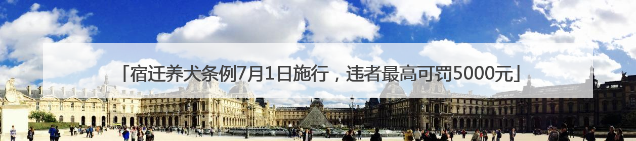 宿迁养犬条例7月1日施行，违者最高可罚5000元