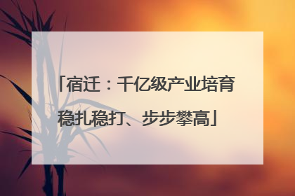 宿迁：千亿级产业培育稳扎稳打、步步攀高