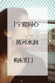 宁夏同心：黄河水润枸杞红