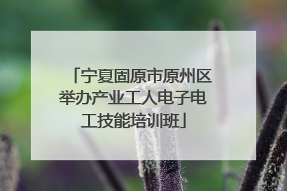 宁夏固原市原州区举办产业工人电子电工技能培训班