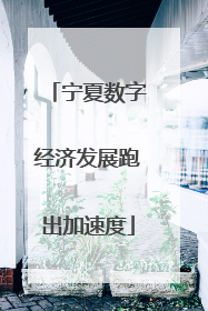 宁夏数字经济发展跑出加速度