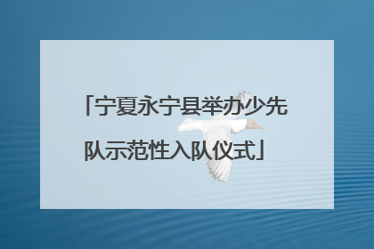 宁夏永宁县举办少先队示范性入队仪式