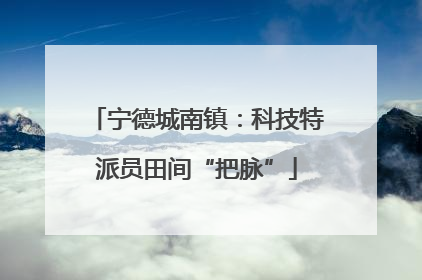 宁德城南镇：科技特派员田间“把脉”