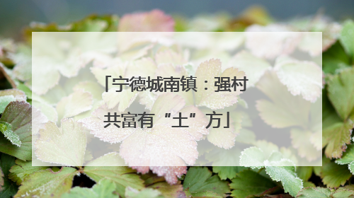 宁德城南镇：强村共富有“土”方