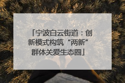 宁波白云街道：创新模式构筑“两新”群体关爱生态圈