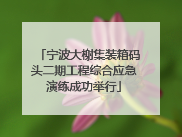 宁波大榭集装箱码头二期工程综合应急演练成功举行