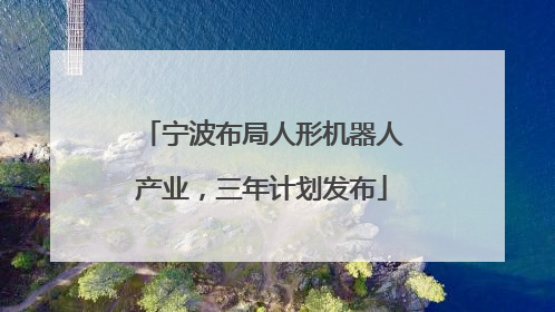 宁波布局人形机器人产业，三年计划发布