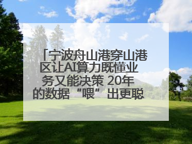 宁波舟山港穿山港区让AI算力既懂业务又能决策 20年的数据“喂”出更聪明的港口