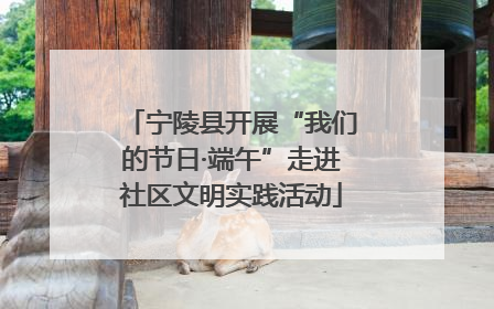 宁陵县开展“我们的节日·端午”走进社区文明实践活动