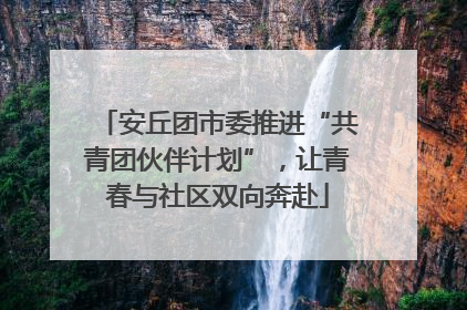 安丘团市委推进“共青团伙伴计划”，让青春与社区双向奔赴