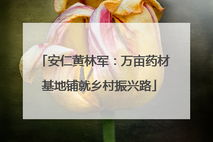 安仁黄林军：万亩药材基地铺就乡村振兴路