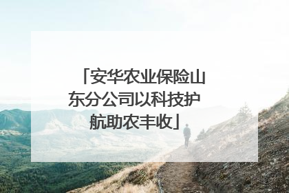 安华农业保险山东分公司以科技护航助农丰收
