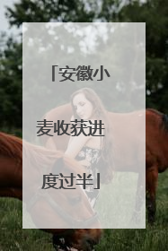 安徽小麦收获进度过半