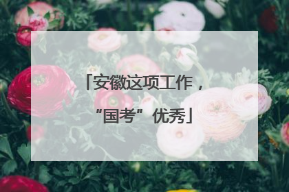 安徽这项工作，“国考”优秀