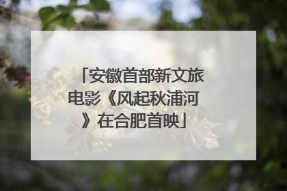 安徽首部新文旅电影《风起秋浦河》在合肥首映
