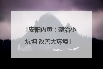 安阳内黄：整治小坑塘 改善大环境