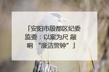 安阳市殷都区纪委监委：以案为尺 敲响 “廉洁警钟”