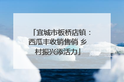 宜城市板桥店镇：西瓜丰收销售俏 乡村振兴添活力