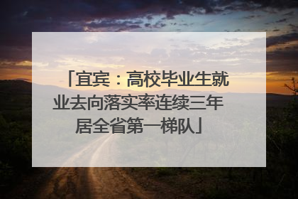 宜宾：高校毕业生就业去向落实率连续三年居全省第一梯队