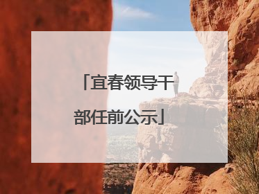 宜春领导干部任前公示
