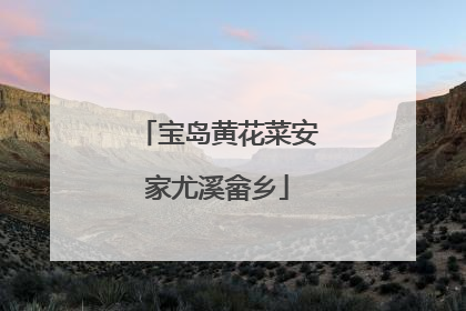 宝岛黄花菜安家尤溪畲乡