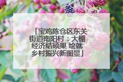 宝鸡陈仓区东关街道南阳村：大棚经济结硕果 绘就乡村振兴新图景