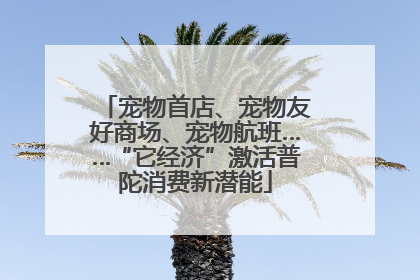 宠物首店、宠物友好商场、宠物航班……“它经济”激活普陀消费新潜能