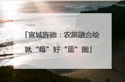 宣城旌德：农旅融合绘就“莓”好“蓝”图