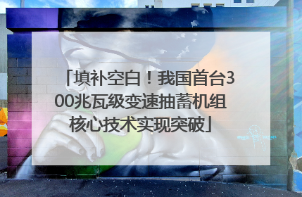填补空白！我国首台300兆瓦级变速抽蓄机组核心技术实现突破